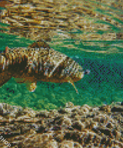 Broun Trout Underwater Diamond Paintings