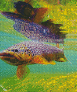 Brown Trout Diamond Paintings