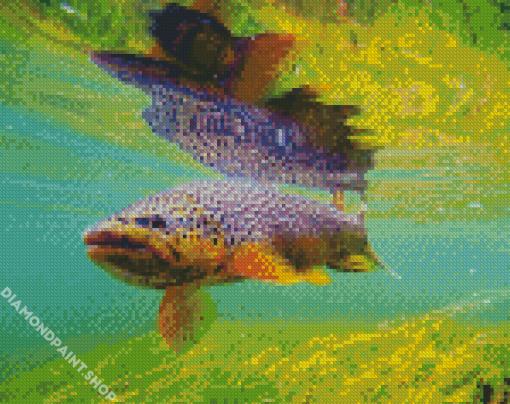 Brown Trout Diamond Paintings