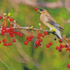 Bird With Cedar Tree Diamond Paintings