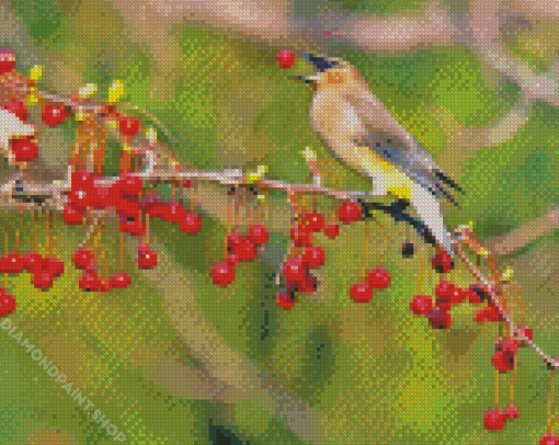 Bird With Cedar Tree Diamond Paintings