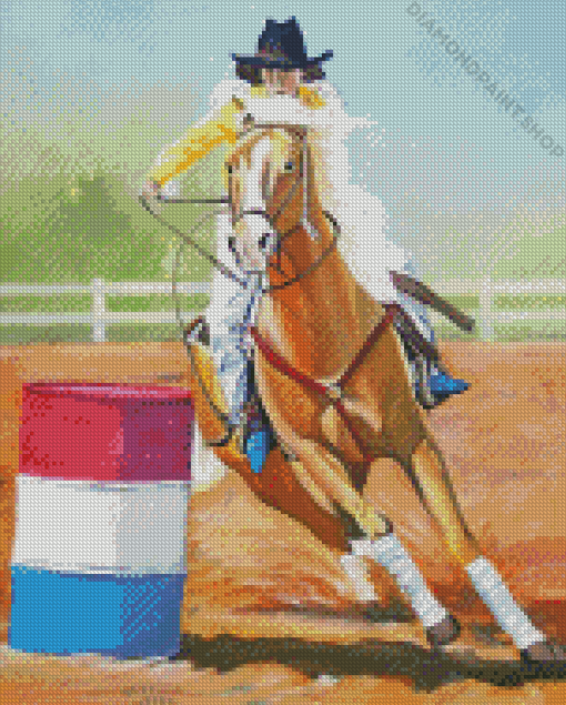 Cool Barrel Racing Diamond Paintings