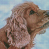 Cute Boykin Spaniel Diamond Paintings