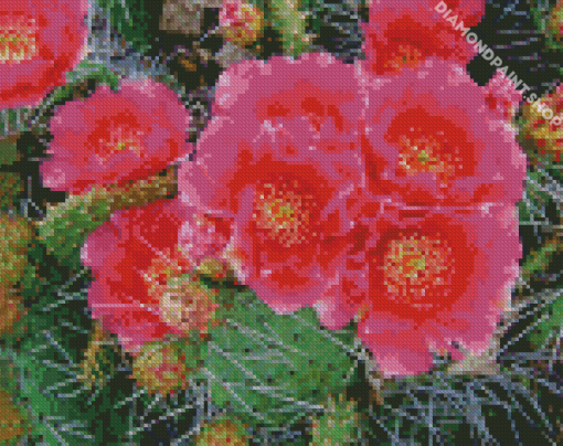 Cactus With Pink Roses Diamond Paintings