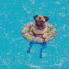 Cute Dog In Pool Diamond Paintings