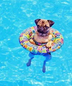 Cute Dog In Pool Diamond Paintings