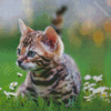 Cute Kitten Tiger Diamond Paintings