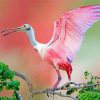 Cute Roseau Spoonbill Diamond Paintings