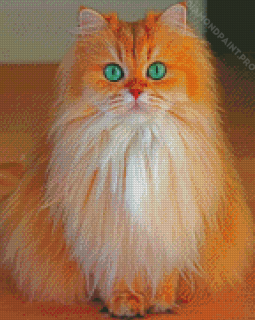 Cute Semi Longhair Diamond Paintings