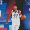 Donovan Mitchell Diamond Paintings