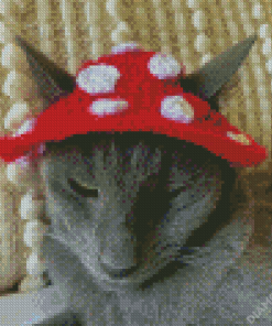 Grey Cat With Hat Diamond Paintings