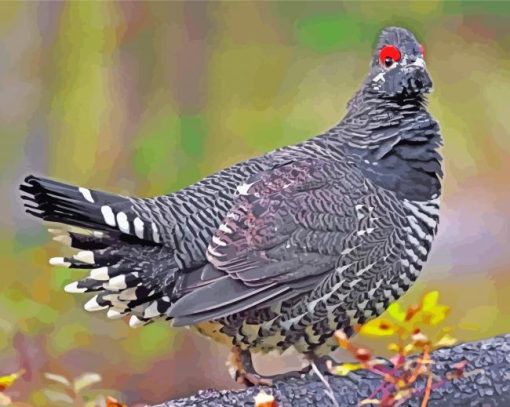 Grouse Bird Diamond Paintings