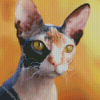 Hairless Kitty Diamond Paintings