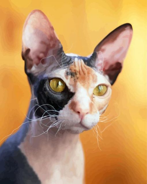 Hairless Kitty Diamond Paintings