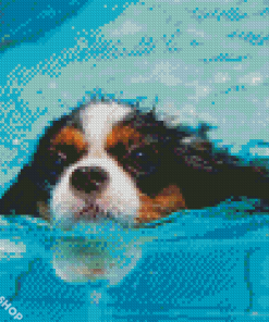 Little Dog In Pool Diamond Paintings