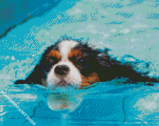 Little Dog In Pool Diamond Paintings