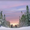 Newfoundland Skiing Sunset Diamond Paintings