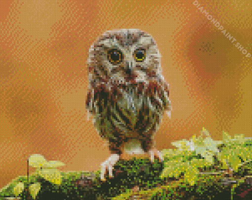 Owl Baby Diamond Paintings