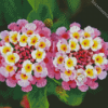 Pink Lantanas Flowers Diamond Paintings