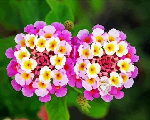 Pink Lantanas Flowers Diamond Paintings