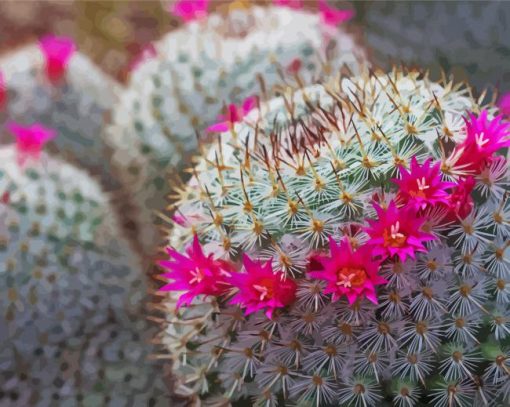 Flowers Cactus Diamond Paintings