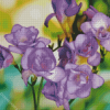 Purple Freesia Flowers Diamond Paintings