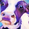 Purle Cow Close Up Diamond Paintings