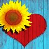 Sunflower Heart love Diamond Paintings