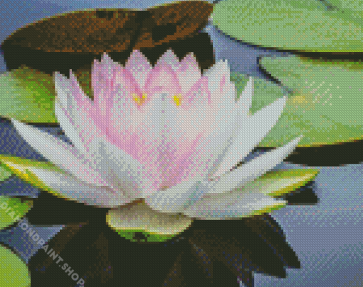 White Lotus Blossom Diamond Paintings