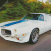 White Trans Am Diamond Paintings