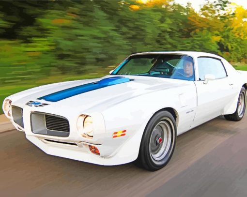 White Trans Am Diamond Paintings