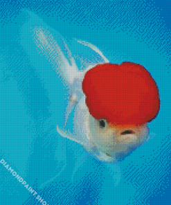 White Cap Fish Diamond Paintings