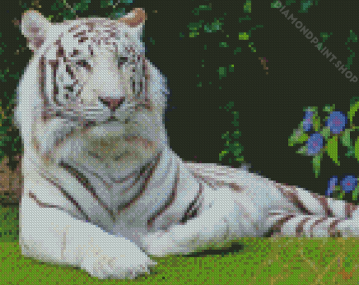 Wild Siberian Tiger Diamond Paintings