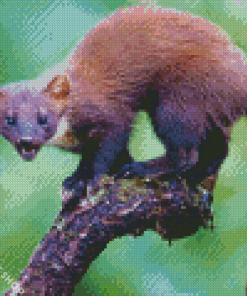 Wild Marten Diamond Paintings