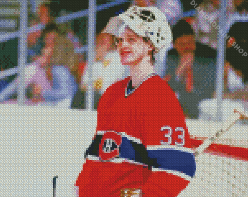 Young Patrick Roy Diamond Paintings