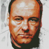 James Gandolfini Diamond Paintings