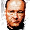 James Gandolfini Diamond Paintings