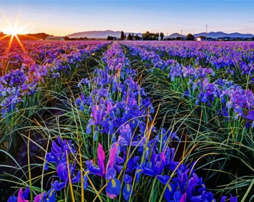 Iris Flower Field Diamond Paintings