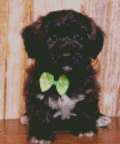 Black Shorkie Dog Diamond Paintings