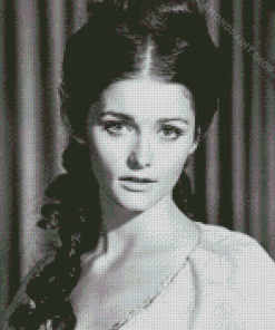 Black And White Actress Margot Kidder Diamond Paintings