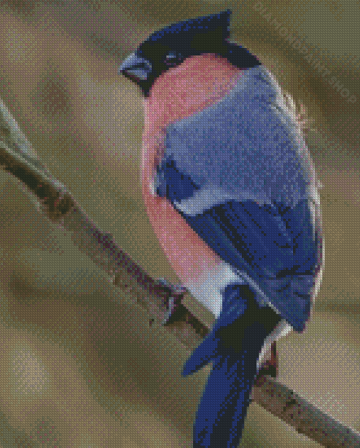 Blue And Pink Swallow Diamond Paintings