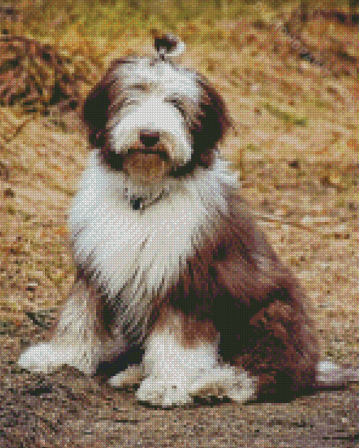 Bearded Collie Puppy Diamond Paintings