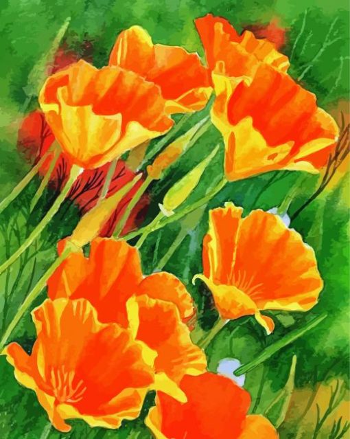 California Poppies Art Diamond Paintings