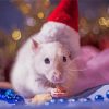 Christmas Mouse Diamond Paintings