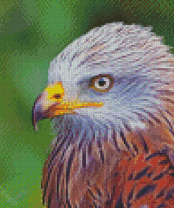 Close Up Red Kite Diamond Paintings