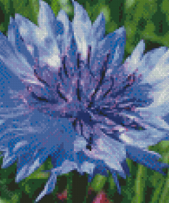 Corn Flower Diamond Paintings