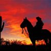 Cowboy In Arizona Silhouette Diamond Paintings