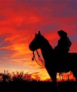 Cowboy In Arizona Silhouette Diamond Paintings