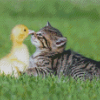 Cute Duck And Cat Diamond Paintings