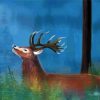 Deer In Rain Art Diamond Paintings